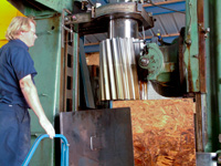 coarse-pinion-200x
